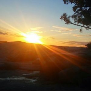 Meet your Posher, Donna